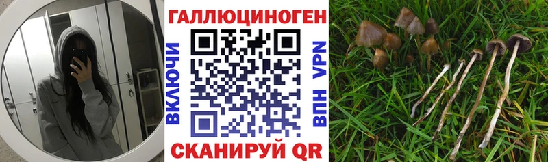 купить   Черемхово  Галлюциногенные грибы мухоморы 
