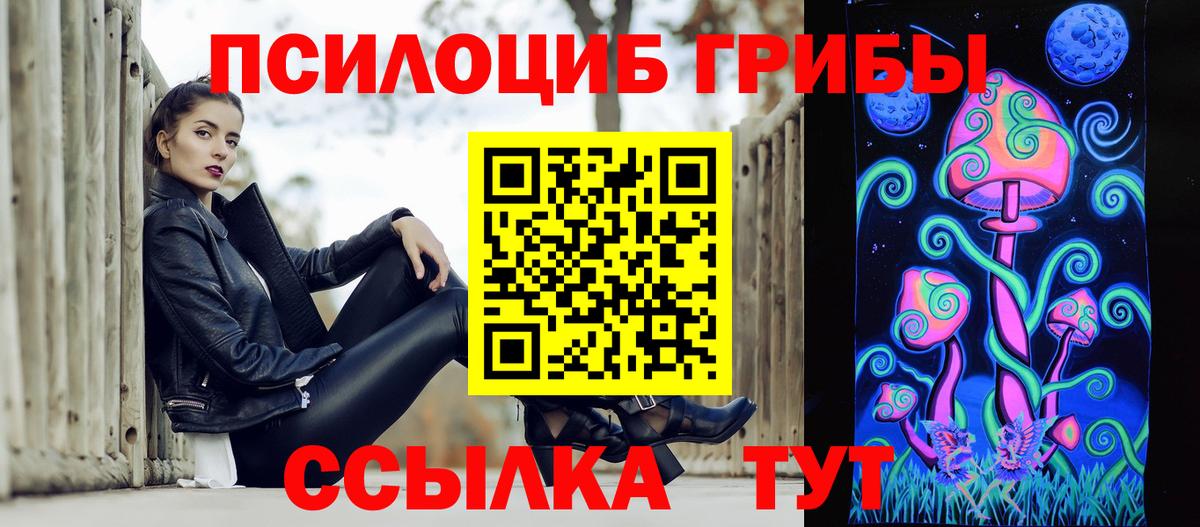Псилоцибиновые грибы Cubensis  Вход с VPN  Черемхово 