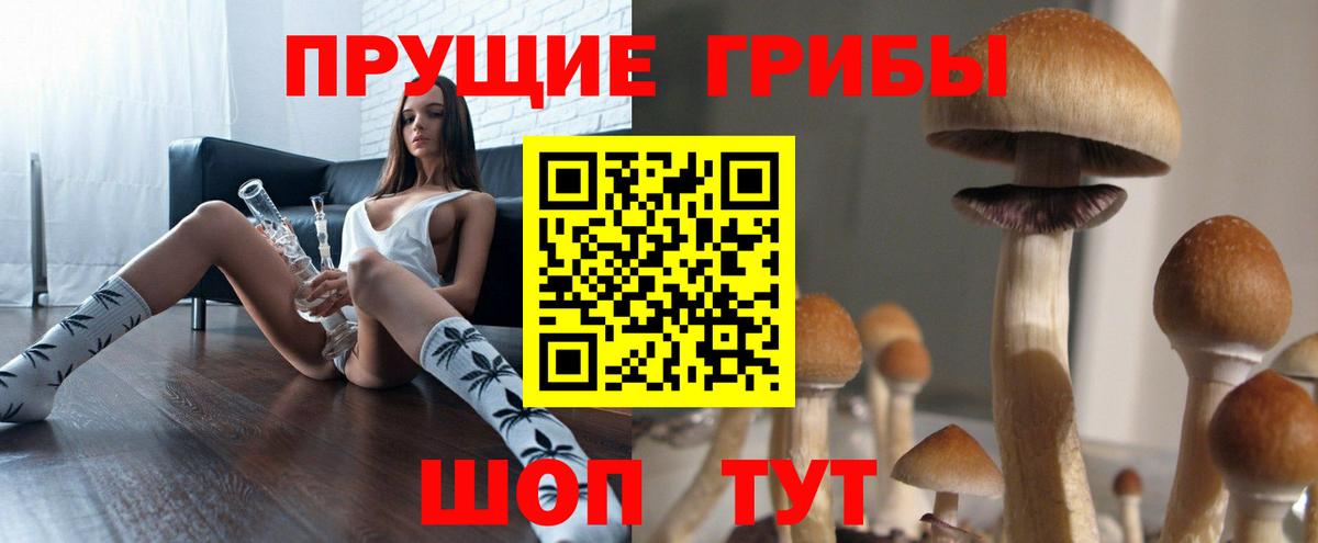Галлюциногенные грибы MAGIC MUSHROOMS Черемхово